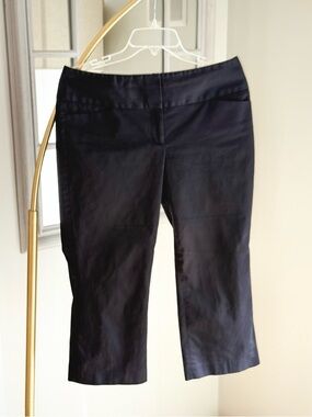 Express Editor Capri Pants